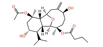 Klysimplexin C